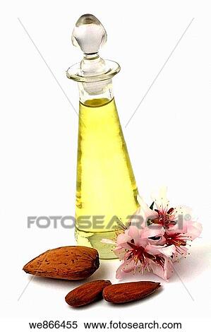 Almond oil View Large Photo Image Stock Photography - Almond oil. Fotosearch