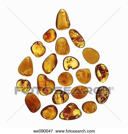 Amber Drops of sunshine View Large Photo Image Stock Photo - Amber Drops of sunshine. Fotosearch