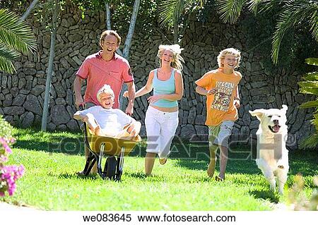 amusing, barrow, animal, amusement View Large Photo Image Stock Photography - amusing, barrow, animal, amusement. Fotosearch