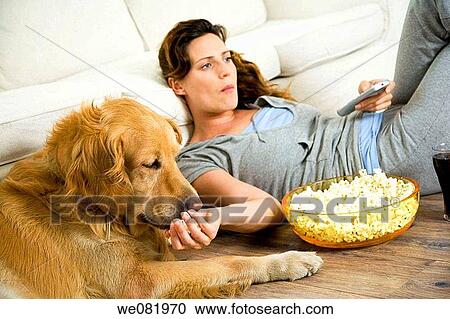 animal, bowl, at-home, apartment, addiction View Large Photo Image Stock Image - animal, bowl, at-home, apartment, addiction. Fotosearch
