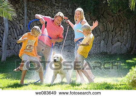 animal, brother, boy, amusement View Large Photo Image Stock Photo - animal, brother, boy, amusement. Fotosearch