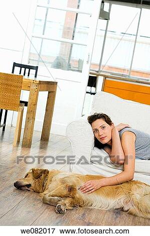 animal, calm, at-home, apartment, absorbed View Large Photo Image Stock Photo - animal, calm, at-home, apartment, absorbed. Fotosearch