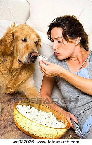 apartment, bowl, at-home, animal View Large Photo Image Stock Photograph - apartment, bowl, at-home, animal. Fotosearch