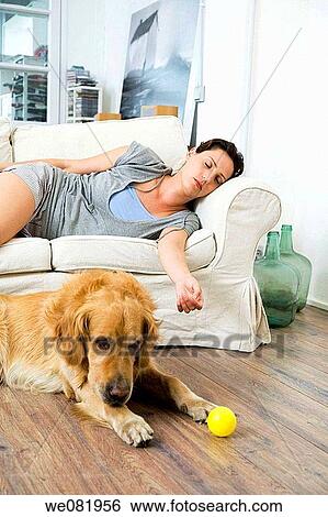 apartment, calm, at-home, animal View Large Photo Image Stock Photograph - apartment, calm, at-home, animal. Fotosearch