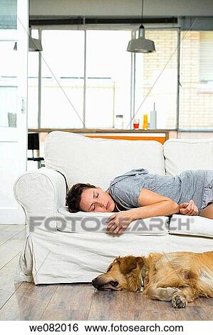 apartment, calm, at-home, animal View Large Photo Image Stock Photograph - apartment, calm, at-home, animal. Fotosearch