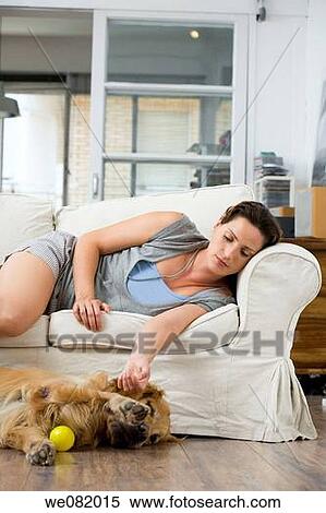 apartment, calm, at-home, animal View Large Photo Image Stock Photography - apartment, calm, at-home, animal. Fotosearch