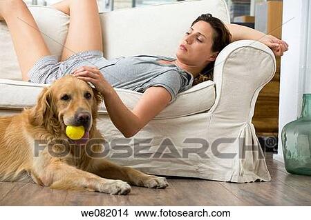 apartment, caress, calm, at-home, animal View Large Photo Image Picture - apartment, caress, calm, at-home, animal. Fotosearch