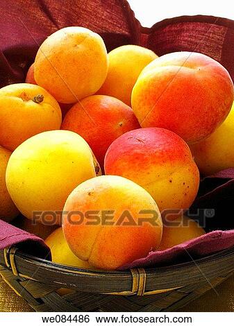 Apricots View Large Photo Image Stock Photograph - Apricots. Fotosearch