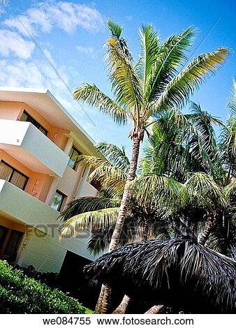 architecture, contemporary, concept, building, accommodation View Large Photo Image Stock Photography - architecture, contemporary, concept, building, accommodation. Fotosearch
