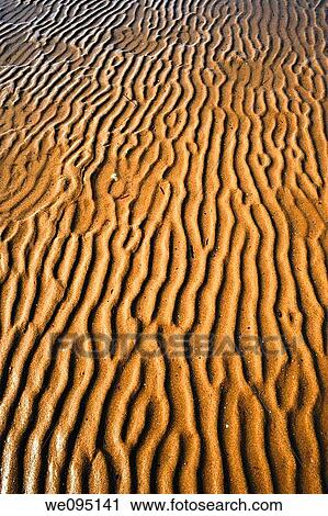 Stock Image - Arena de playa moldeada por el Agua. Fotosearch