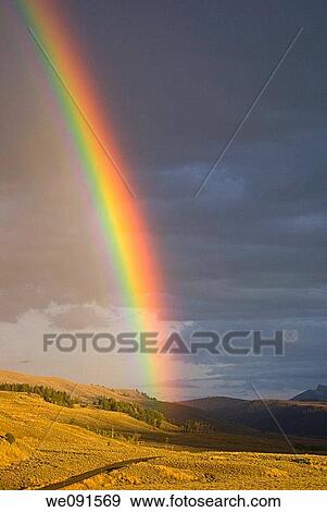 Stock Photo - As a rain storm passes, the setting sun creates a vibrant rainbow in Lamar valley, Yellowstone Park, Wyoming. Fotosearch