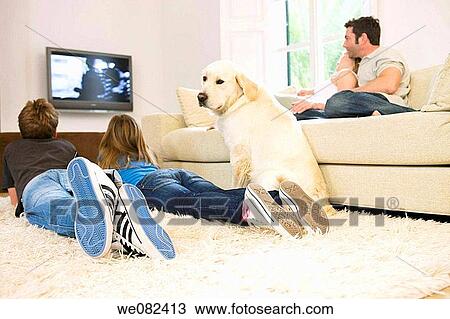 at-home, brother, boy, animal View Large Photo Image Stock Image - at-home, brother, boy, animal. Fotosearch