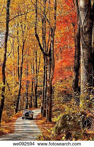 Picture - Autumn Scenic, East Tennessee. Fotosearch