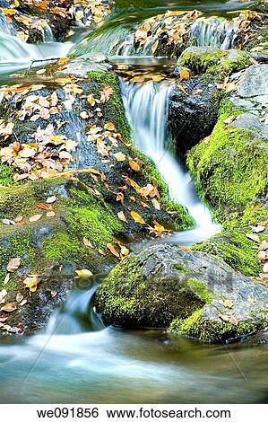 Autumn waterfall and mossy rocks, Great Smoky Mountains National Park View Large Photo Image Stock Photograph - Autumn waterfall and mossy rocks, Great Smoky Mountains National Park. Fotosearch