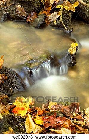 Autumn Waterfall, Great Smoky Mountains National Park View Large Photo Image Stock Image - Autumn Waterfall, Great Smoky Mountains National Park. Fotosearch