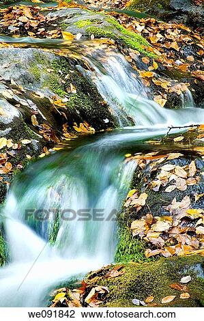 Autumn Waterfall with mossy rocks View Large Photo Image Stock Image - Autumn Waterfall with mossy rocks. Fotosearch