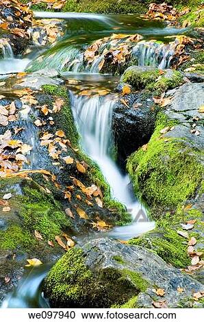 Autumn Waterfall with vibrant green Mossy Rocks View Large Photo Image Stock Image - Autumn Waterfall with vibrant green Mossy Rocks. Fotosearch