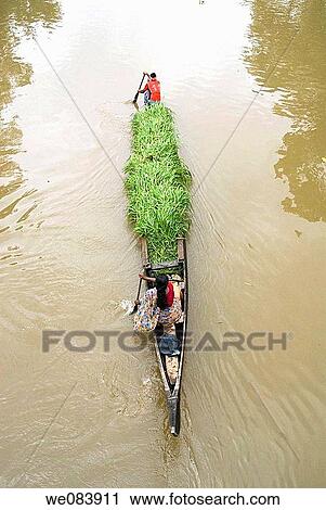 Backwaters of Kerala View Large Photo Image Stock Image - Backwaters of Kerala. Fotosearch