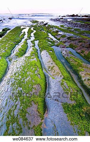 Barrika Beach. Vizcaya. Basque Country. Spain. View Large Photo Image Stock Photo - Barrika Beach. Vizcaya. Basque Country. Spain.. Fotosearch