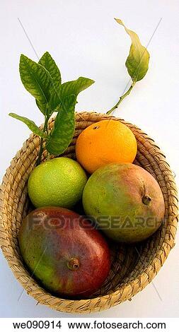 Basket of mangoes, oranges and lemons View Large Photo Image Picture - Basket of mangoes, oranges and lemons. Fotosearch