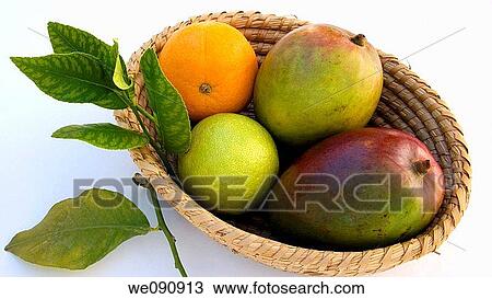 Basket of mangoes, oranges and lemons View Large Photo Image Stock Image - Basket of mangoes, oranges and lemons. Fotosearch