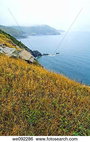 Bay St Lawrence Shoreline, Cape Breton Island, Nova Scotia, Canada View Large Photo Image Stock Photograph - Bay St Lawrence Shoreline, Cape Breton Island, Nova Scotia, Canada. Fotosearch