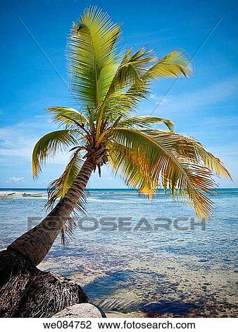 beach, blue, calm, clear, coast, coastal View Large Photo Image Stock Image - beach, blue, calm, clear, coast, coastal. Fotosearch