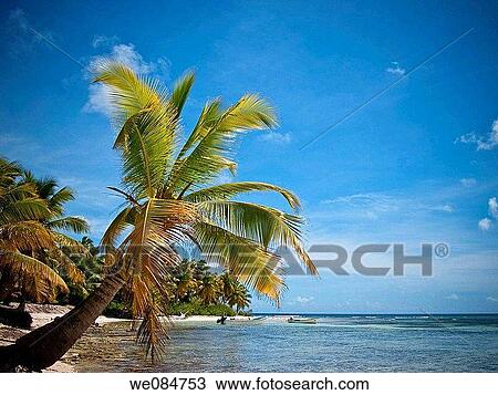 beach, blue, calm, coast, coastal View Large Photo Image Stock Image - beach, blue, calm, coast, coastal. Fotosearch
