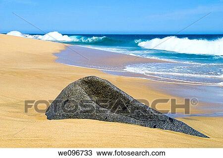 Beach in Cabo San Lucas Mexico View Large Photo Image Stock Image - Beach in Cabo San Lucas Mexico. Fotosearch