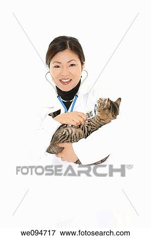 Beautiful Asian woman Veterinarian examining a kitten View Large Photo Image Stock Photo - Beautiful Asian woman Veterinarian examining a kitten. Fotosearch