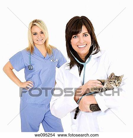 Beautiful Caucasian woman Veterinarian examining a kitten View Large Photo Image Picture - Beautiful Caucasian woman Veterinarian examining a kitten. Fotosearch