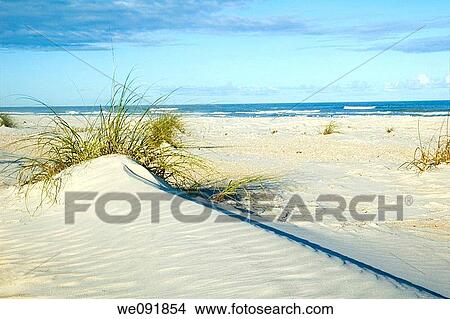 Beautiful sand dune near ocean strong diagonal line View Large Photo Image Picture - Beautiful sand dune near ocean strong diagonal line. Fotosearch