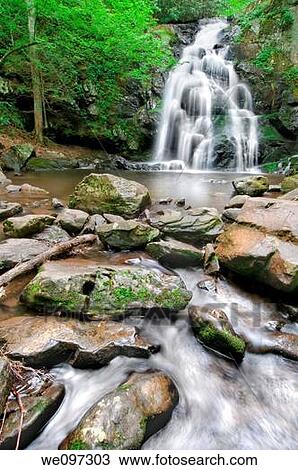 Stock Image - Beautiful Spruce Flat Falls in Great Smoky Mountains National Park, on the border of North Carolina and Tennessee. Fotosearch