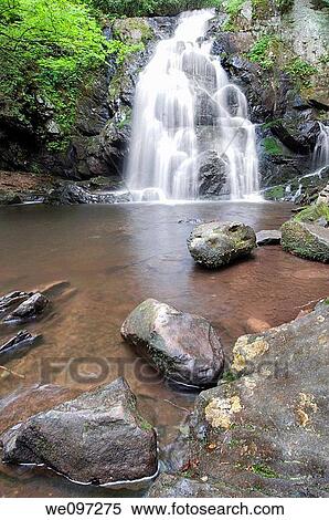 Beautiful Spruce Flat Falls in Great Smoky Mountains Natonal Park, after the spring rains On the border of North Carolina and Tennessee View Large Photo Image Stock Photography - Beautiful Spruce Flat Falls in Great Smoky Mountains Natonal Park, after the spring rains On the border of North Carolina and Tennessee. Fotosearch