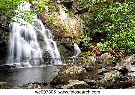 Beautiful Spruce Flat Falls in Great Smoky Mountains National Park, on the border of North Carolina and Tennessee View Large Photo Image Stock Photography - Beautiful Spruce Flat Falls in Great Smoky Mountains National Park, on the border of North Carolina and Tennessee. Fotosearch