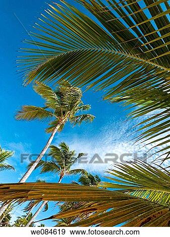 Stock Photo - beauty, America, beautiful, beach, amount, Aguas. Fotosearch