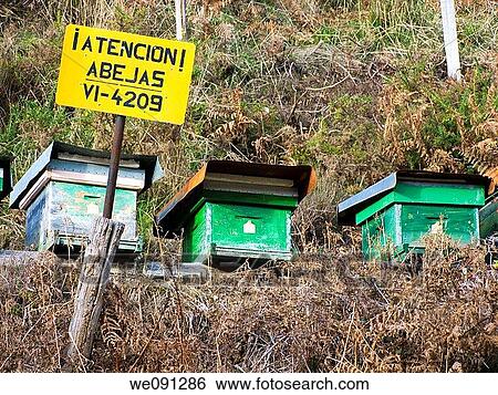 Stock Photograph - Beehives in the Gorbea Natural Park. Alava. Basque Country. Spain.. Fotosearch