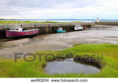 Belliveau Cove Lighthouse at low tide on the Bay of Fundy Nova Scotia View Large Photo Image Picture - Belliveau Cove Lighthouse at low tide on the Bay of Fundy Nova Scotia. Fotosearch