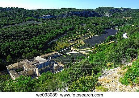 Bird's eye view of the Cistercian abbey Notre-Dame de Senanque with its lavender fields, Gordes, Provence, France View Large Photo Image Stock Photo - Bird's eye view of the Cistercian abbey Notre-Dame de Senanque with its lavender fields, Gordes, Provence, France. Fotosearch