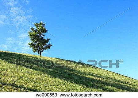 blue, blue sky, country, day View Large Photo Image Stock Image - blue, blue sky, country, day. Fotosearch