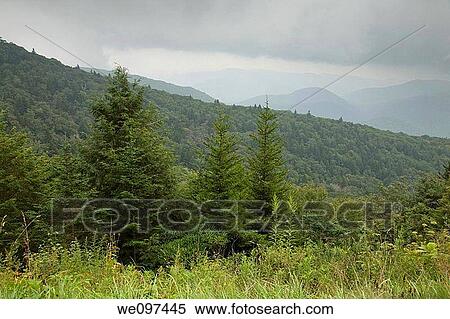 Blue Ridge Parkway, Pisgah Nat Forest, NC View Large Photo Image Stock Photography - Blue Ridge Parkway, Pisgah Nat Forest, NC. Fotosearch