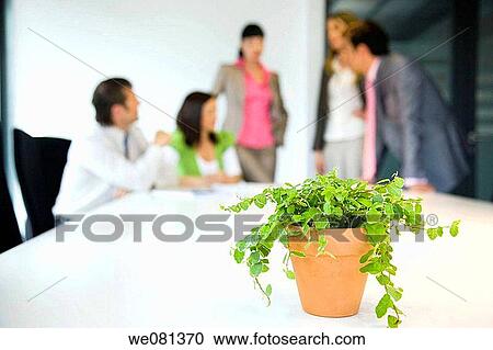 board-room, business, businessman, businesspeople, businesswoman View Large Photo Image Stock Image - board-room, business, businessman, businesspeople, businesswoman. Fotosearch