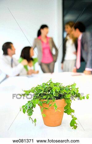 board-room, business, businessman, businesspeople, businesswoman View Large Photo Image Stock Image - board-room, business, businessman, businesspeople, businesswoman. Fotosearch