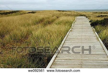 Stock Image - Boardwalk, Port Hood Day Park, Cape Breton Island, Nova Scotia, Canada. Fotosearch