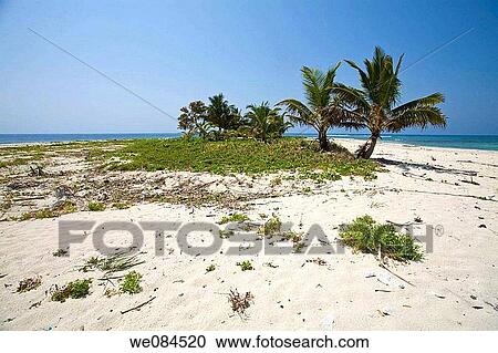 Bolanos Caye, Cayos Cochinos, Bay Islands, Honduras View Large Photo Image Stock Image - Bolanos Caye, Cayos Cochinos, Bay Islands, Honduras. Fotosearch