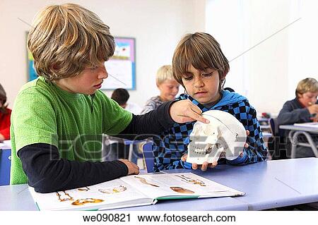 book, classroom, child, boy, anatomy View Large Photo Image Stock Image - book, classroom, child, boy, anatomy. Fotosearch