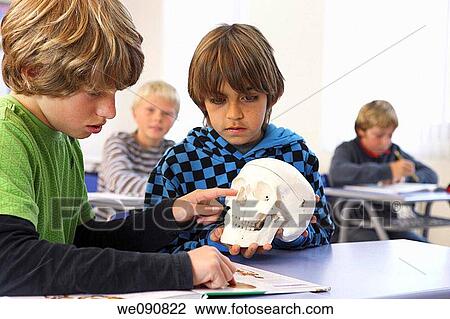 book, classroom, child, boy, anatomy View Large Photo Image Stock Image - book, classroom, child, boy, anatomy. Fotosearch