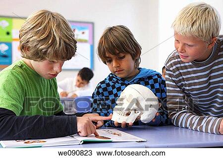 book, classroom, child, boy, anatomy View Large Photo Image Stock Image - book, classroom, child, boy, anatomy. Fotosearch