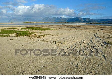 Bottom sand of Flamingo lake estuary at low tide, near Hermanus, South Western Cape, South Africa View Large Photo Image Stock Photo - Bottom sand of Flamingo lake estuary at low tide, near Hermanus, South Western Cape, South Africa. Fotosearch