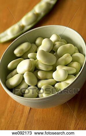 Bowl of broad beans View Large Photo Image Stock Image - Bowl of broad beans. Fotosearch
